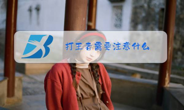 打王者需要注意什么图片