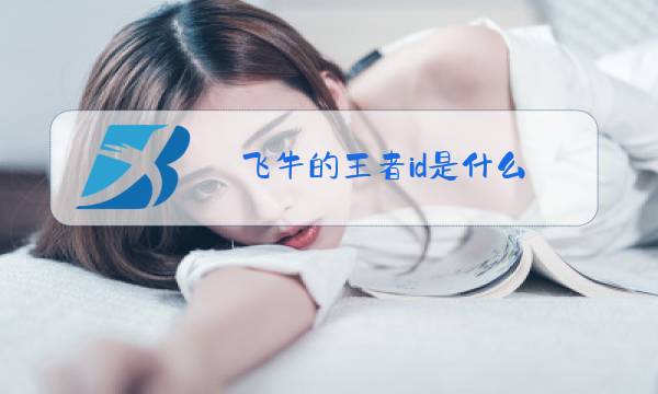 飞牛的王者id是什么图片