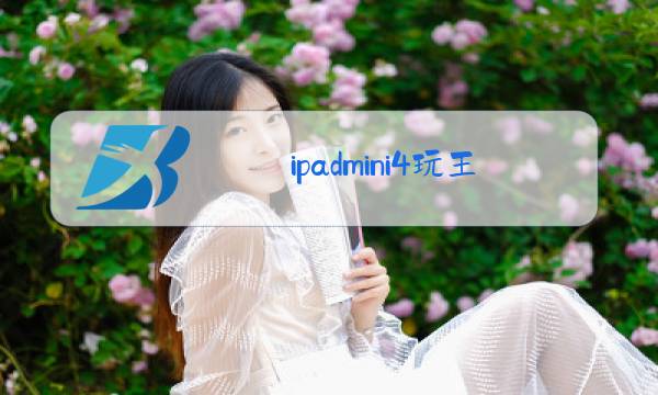 ipadmini4玩王者卡吗