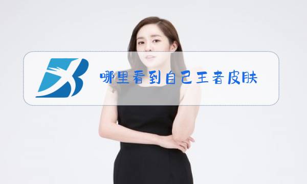 哪里看到自己王者皮肤图片