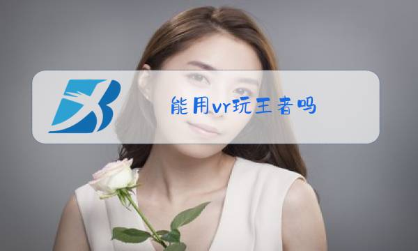 能用vr玩王者吗图片