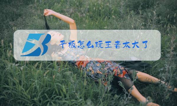 平板怎么玩王者太大了图片