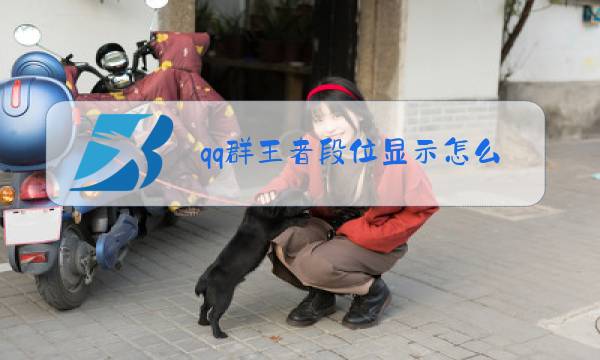 qq群王者段位显示怎么开启图片