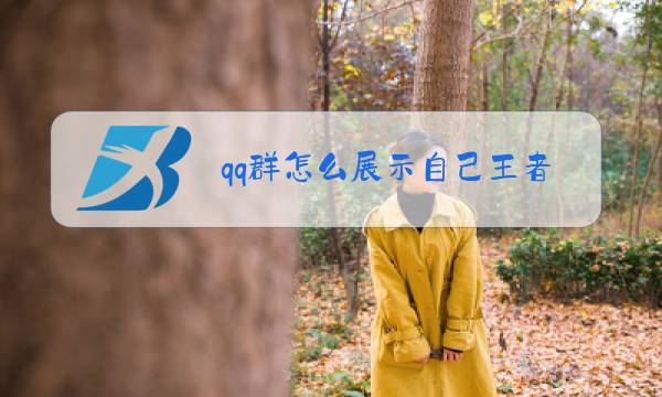qq群怎么展示自己王者最高段位图片