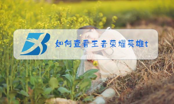 如何查看王者荣耀游戏时间图片