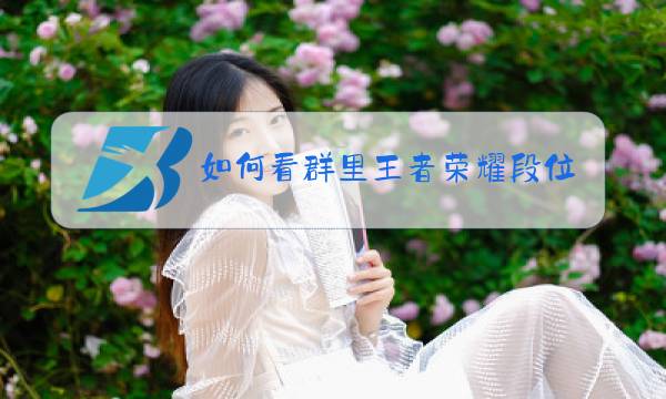如何看群里王者荣耀段位排行图片