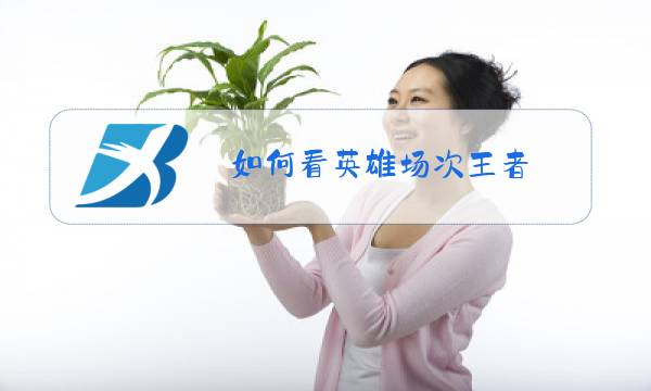 如何看英雄场次王者图片