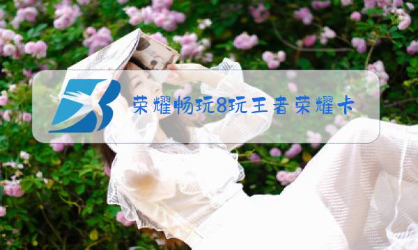 荣耀畅玩8玩王者荣耀卡吗图片