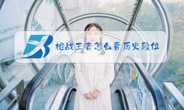 枪战王者怎么看历史段位图片