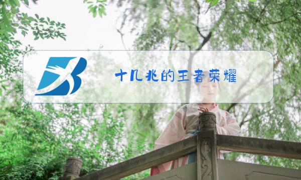 十几兆的王者荣耀图片