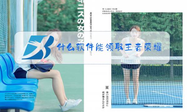 什么软件能领取王者荣耀皮肤图片