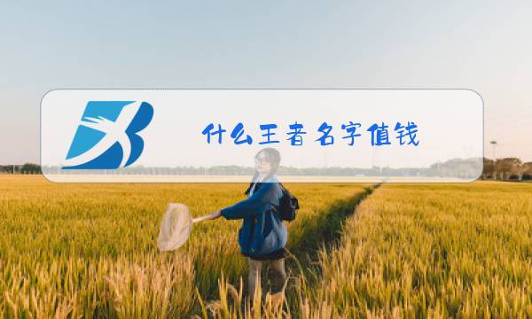 什么王者名字值钱图片