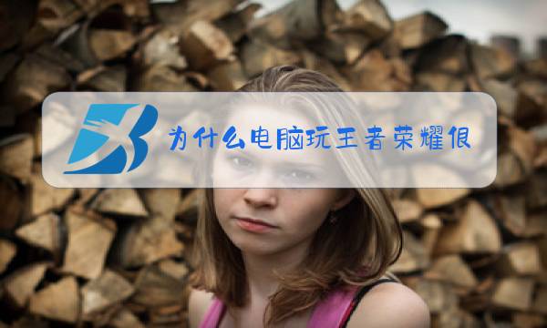 为什么电脑玩王者荣耀很卡图片