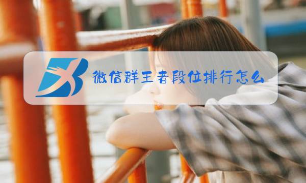 微信群王者段位排行怎么看图片