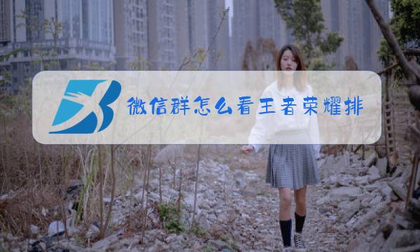 微信群怎么看王者荣耀排行图片