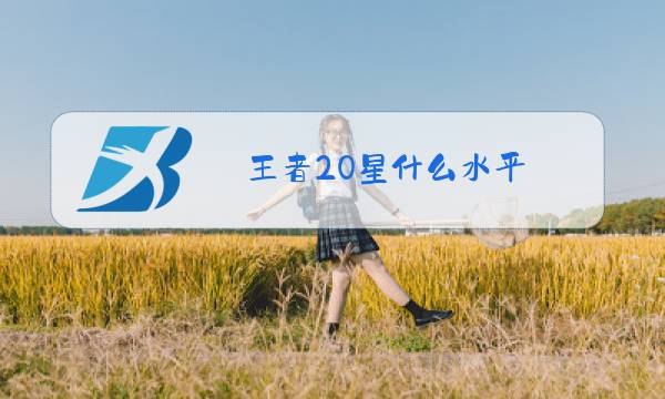 王者20星什么水平图片