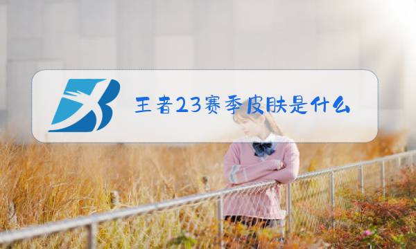 王者23赛季皮肤是什么图片