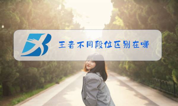 王者不同段位区别在哪图片