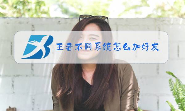 王者不同系统怎么加好友图片