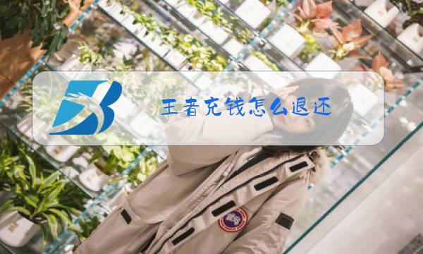 王者充钱怎么退还图片