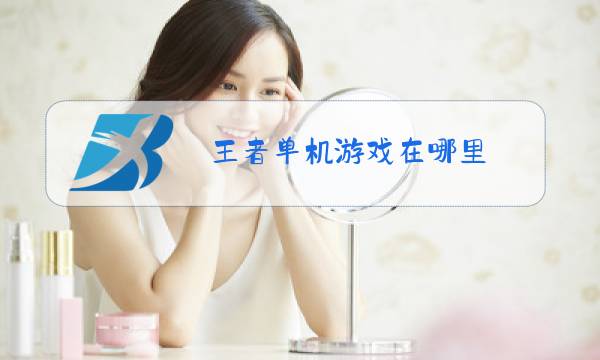 王者单机游戏在哪里图片