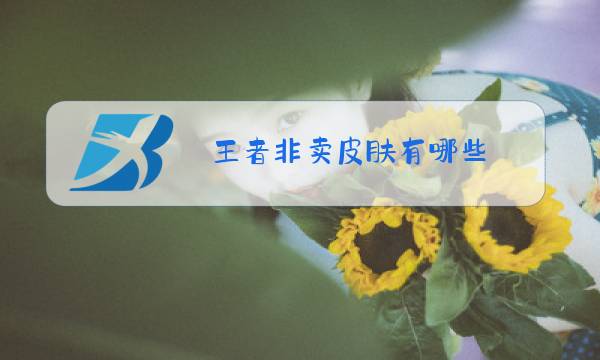 王者非卖皮肤有哪些图片