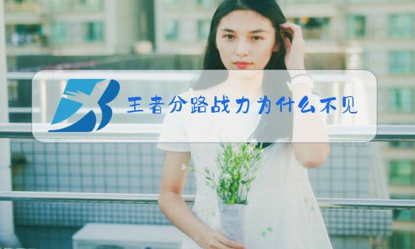 王者分路战力为什么不见图片