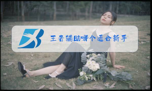 王者辅助哪个适合新手图片