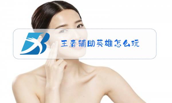王者辅助英雄怎么玩图片
