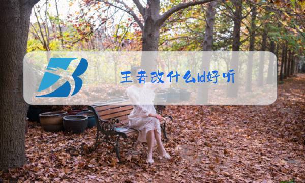 王者改什么id好听图片