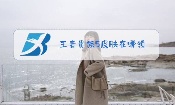 王者贵族5皮肤在哪领图片