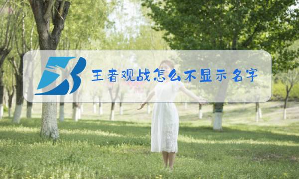 王者观战怎么不显示名字图片