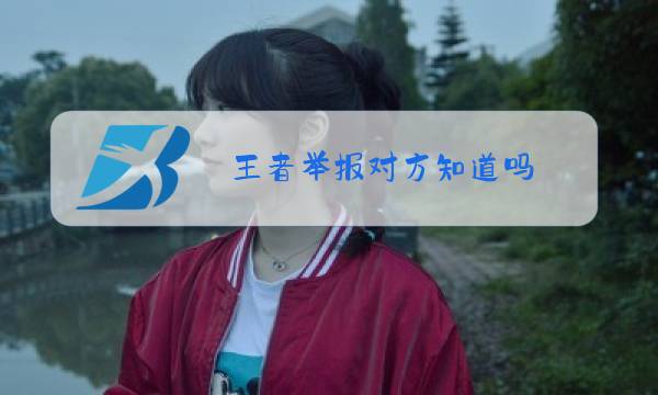 王者举报对方知道吗图片