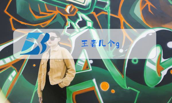 王者几个g图片