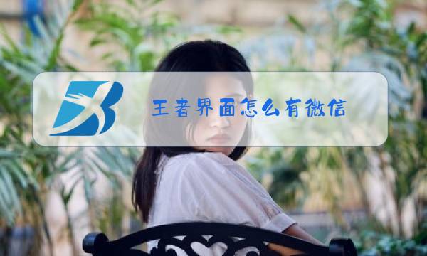 王者界面怎么有微信图片