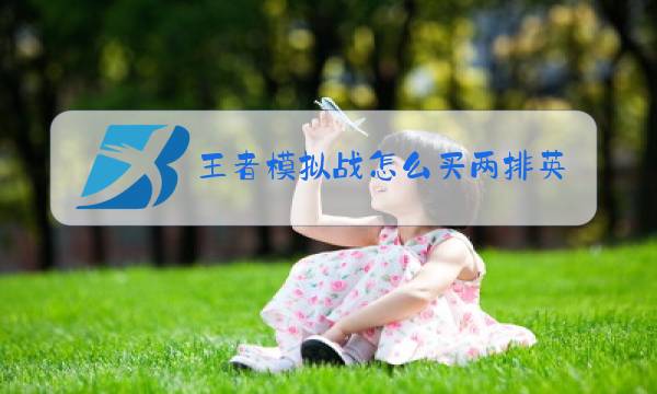王者模拟战怎么买两排英雄图片
