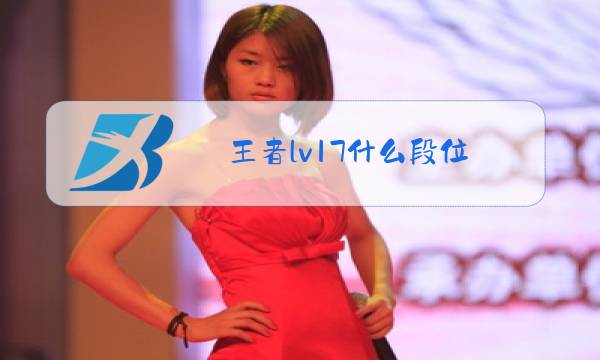 王者lv17什么段位图片