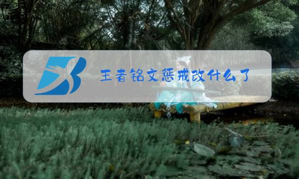 王者铭文惩戒改什么了图片