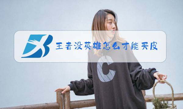 王者没英雄怎么才能买皮肤图片