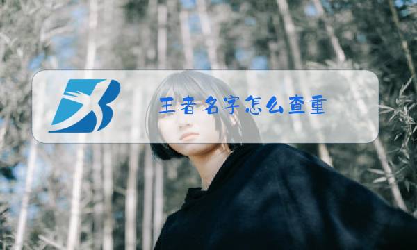 王者名字怎么查重图片