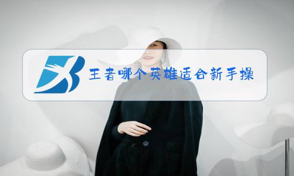 王者哪个英雄适合新手操作图片