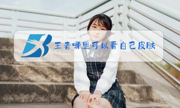 王者哪里可以看自己皮肤图片