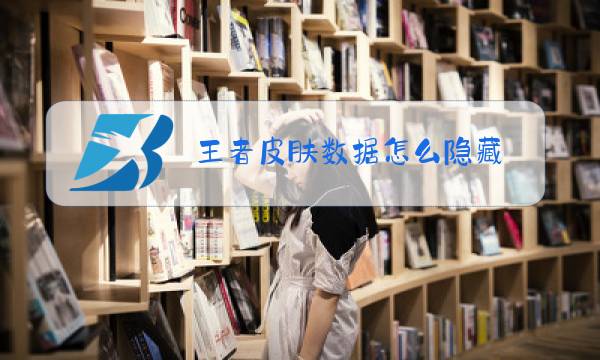 王者皮肤数据怎么隐藏图片