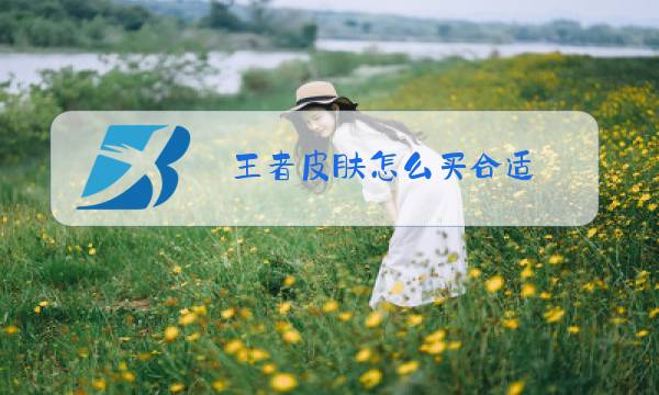 王者皮肤怎么买合适图片
