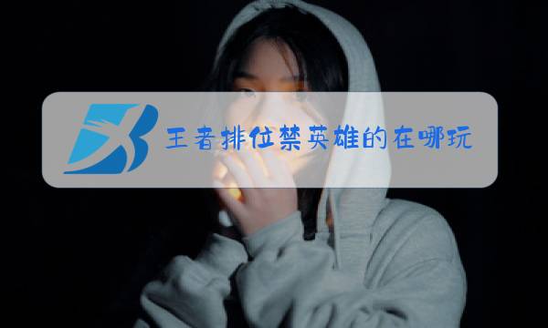 王者排位禁英雄的在哪玩图片