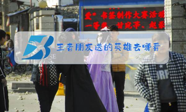王者朋友送的英雄去哪看图片