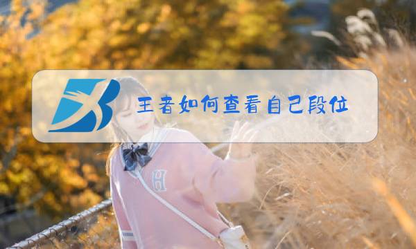 王者如何查看自己段位图片