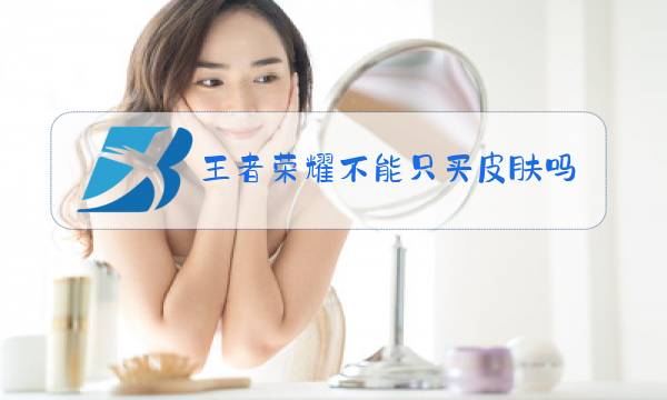 王者荣耀不能只买皮肤吗图片