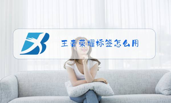 王者荣耀标签怎么用
