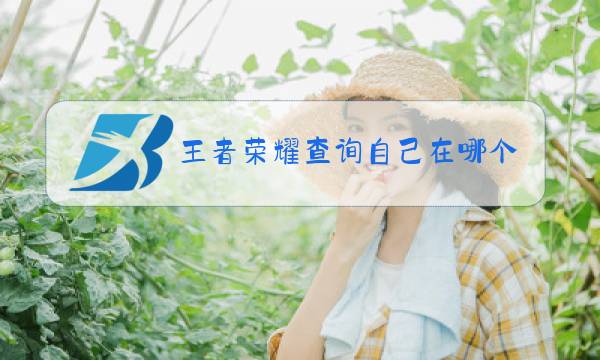 王者荣耀查询自己在哪个区图片
